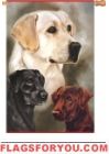 Labradors House Flag