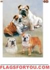 BullDogs House Flag