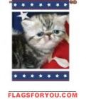 Patriotic Kitty Garden Flag