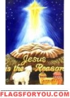 Jesus Is The Reason Garden Flag