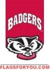Applique -  University of Wisconsin House Flag
