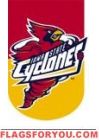 Applique - Iowa State Garden Flag
