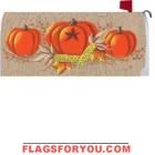 Pumpkin Berr Mailbox Cover