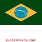 5' x 8' Brazil High Wind, US Made Flag