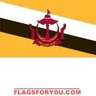 4' x 6' Brunei High Wind, US Made Flag