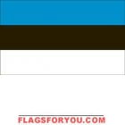 5' x 8' Estonia High Wind, US Made Flag