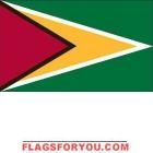 5' x 8' Guyana High Wind, US Made Flag