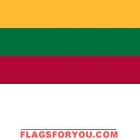 4' x 6' Lithuania High Wind, US Made Flag