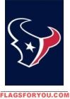 Texans Mini Flag 15" x 10 1/2"