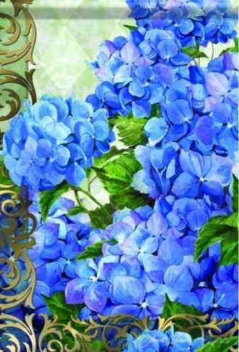 Hydrangea