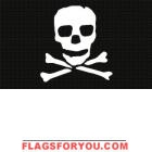 3' x 5' Jolly Rodger Decorative Flag