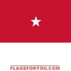 3\' x 5\' 1 Star Army High Wind, US Made Flag