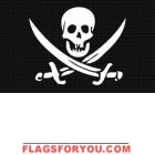 3' x 5' Pirate Decorative Flag