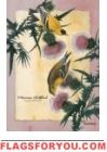 American Goldfinch House Flag - 1 left