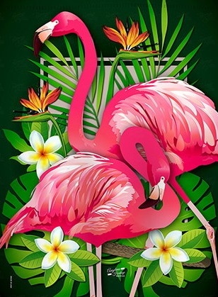 Flamingo