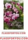 Happy Mother