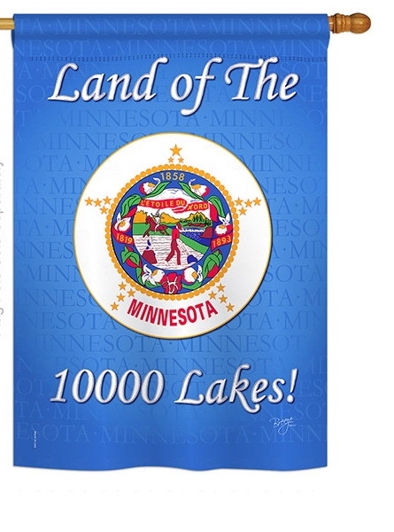 Minnesota House Flag