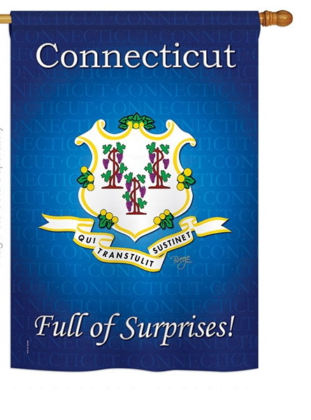 Connecticut House Flag