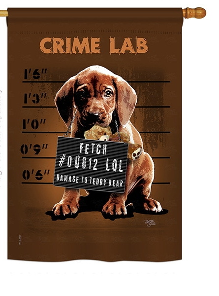 Crime Lab House Flag