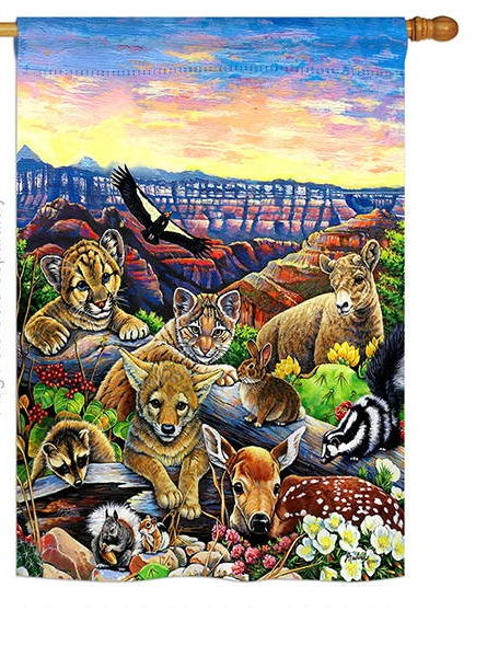 Canyon Friends House Flag