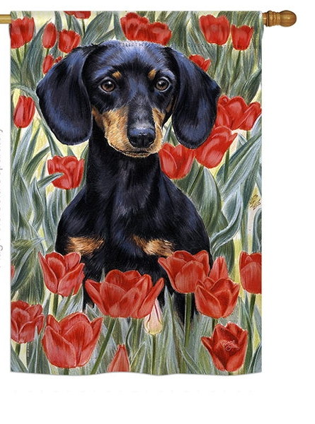 Dachsund In Tulips House Flag