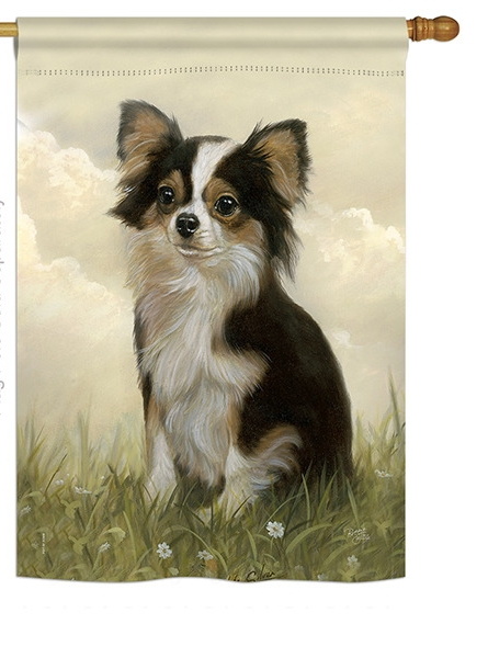 Chihuahua House Flag