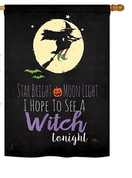 Star Bright House Flag