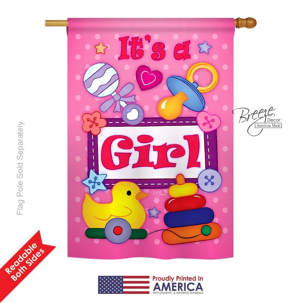 Baby Girl House Flag