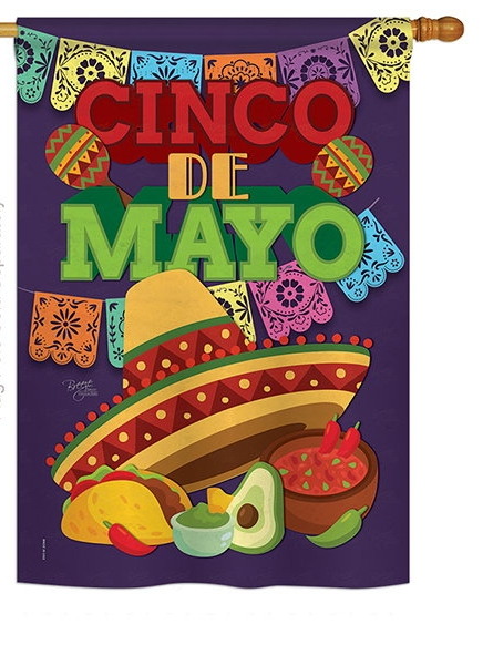 Cinco de Mayo Garden Flag