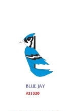 Blue Jay Zany Pal