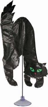 Scary Kat Zany Pal