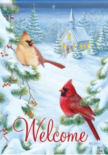 Cardinals & Church House Flag