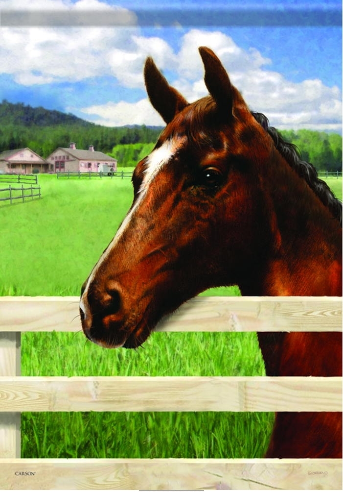 Horse Garden Flag & more garden flags at FlagsForYou.com