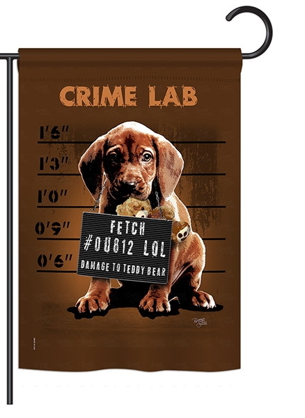 Crime Lab Garden Flag