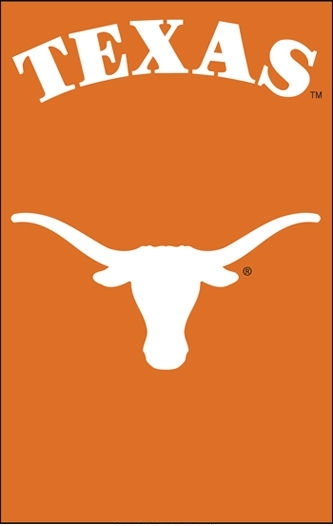 Texas Longhorns Applique Banner Flag 44\