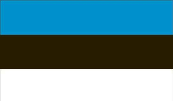 3' x 5' Estonia High Wind, US Made Flag