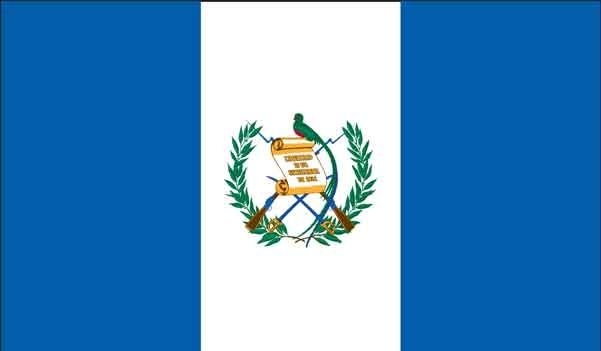 3\' x 5\' Guatemala High Wind, US Made Flag