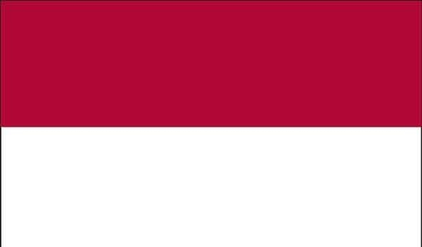 3' x 5' Indonesia High Wind, US Made Flag