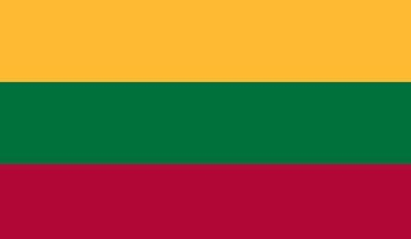 2' x 3' Lithuania High Wind, US Made Flag
