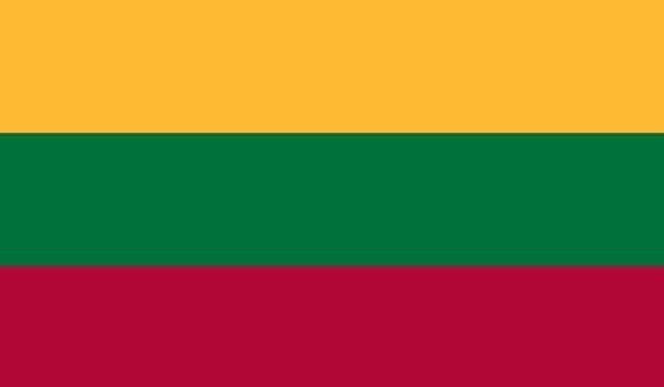 3' x 5' Lithuania High Wind, US Made Flag