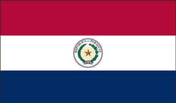 5\' x 8\' Paraguay High Wind, US Made Flag