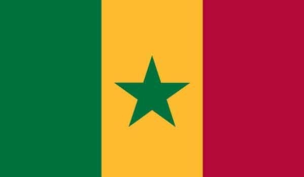 3\' x 5\' Senegal High Wind, US Made Flag