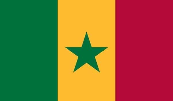 5\' x 8\' Senegal High Wind, US Made Flag