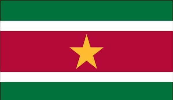 2\' x 3\' Suriname High Wind, US Made Flag