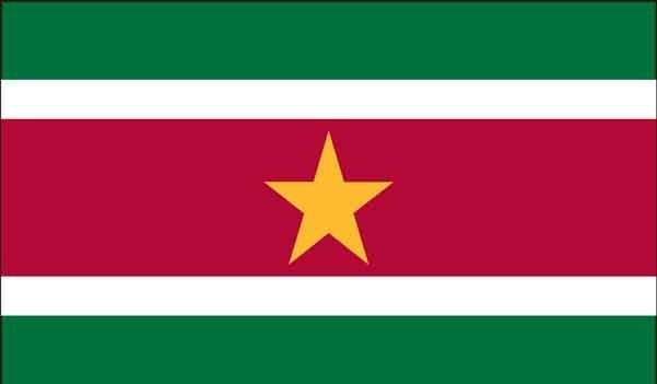 4\' x 6\' Suriname High Wind, US Made Flag