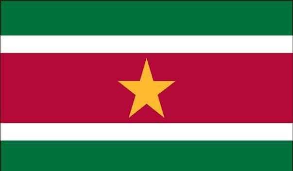 5\' x 8\' Suriname High Wind, US Made Flag