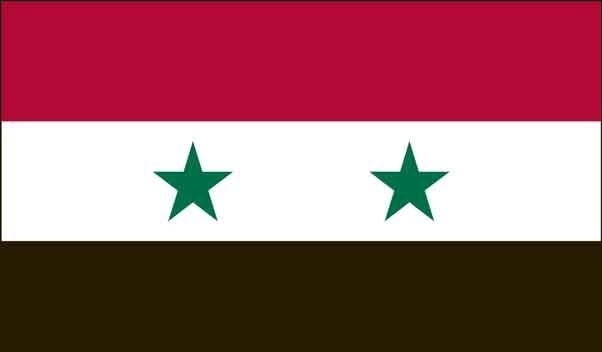 2\' x 3\' Syria High Wind, US Made Flag