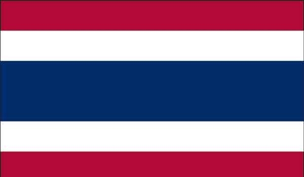 4\' x 6\' Thailand High Wind, US Made Flag