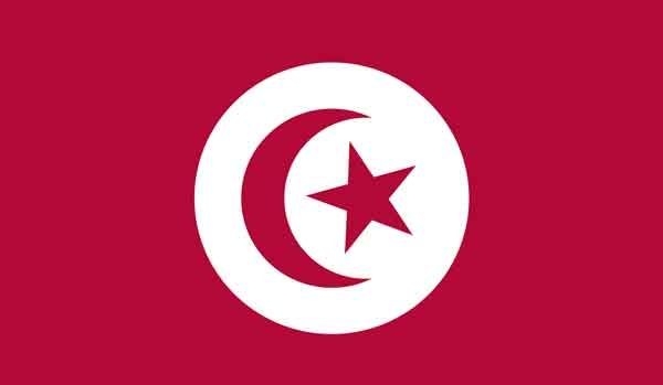 2\' x 3\' Tunisia High Wind, US Made Flag