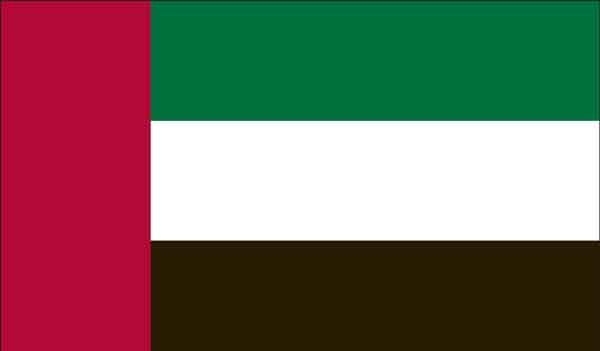 3\' x 5\' United Arab Emirates High Wind, US Made Flag